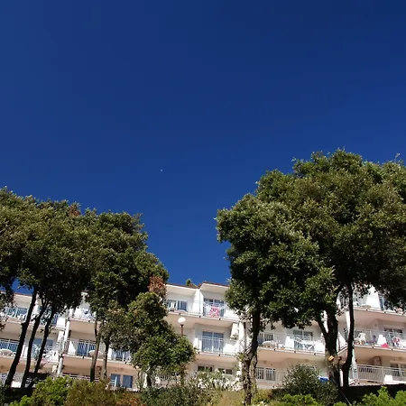 ホリゾント 2* プーラ